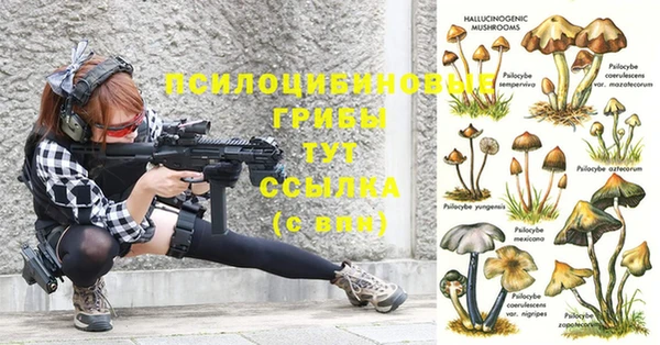мяу мяу мука Карпинск