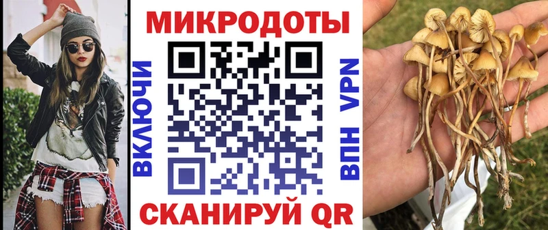 Купить  Инта  Галлюциногенные грибы Psilocybine cubensis 